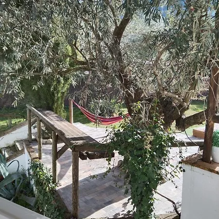 Finca Los Prados